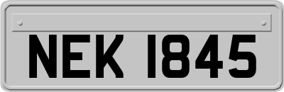 NEK1845