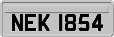 NEK1854