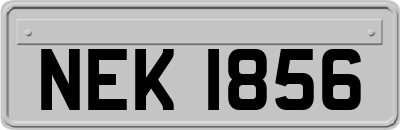 NEK1856