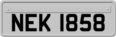 NEK1858