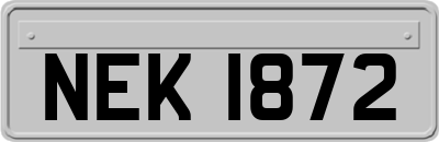 NEK1872