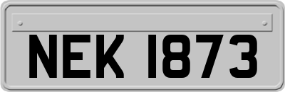 NEK1873