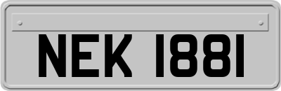 NEK1881