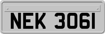 NEK3061