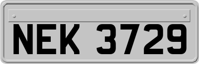 NEK3729