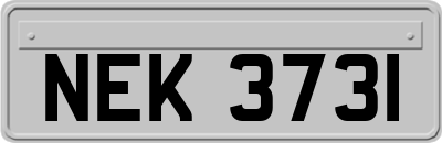 NEK3731