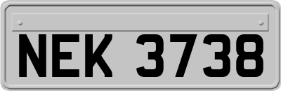 NEK3738