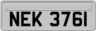 NEK3761