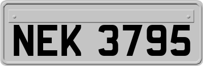 NEK3795