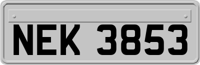 NEK3853