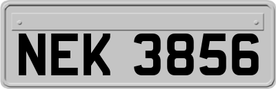 NEK3856