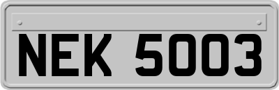 NEK5003