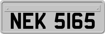 NEK5165