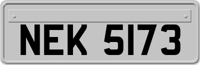 NEK5173