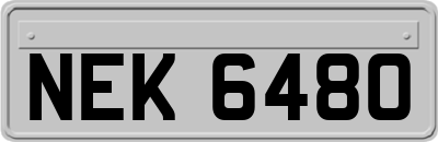 NEK6480