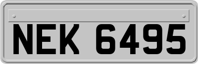 NEK6495