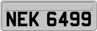 NEK6499