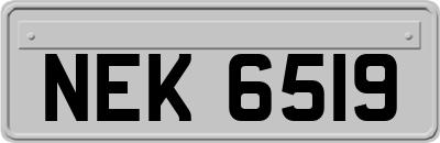 NEK6519