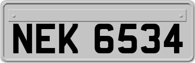 NEK6534