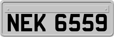 NEK6559