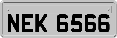 NEK6566