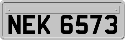 NEK6573