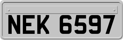 NEK6597