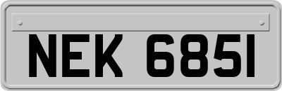 NEK6851