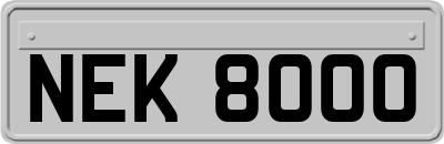 NEK8000