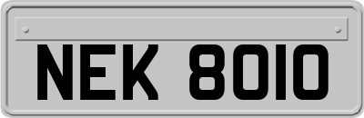 NEK8010