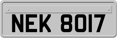 NEK8017