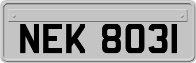 NEK8031