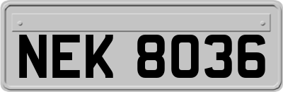 NEK8036