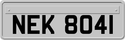 NEK8041
