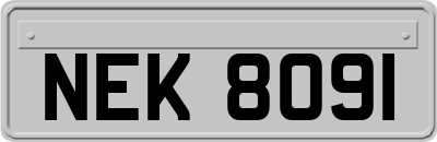 NEK8091