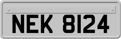 NEK8124