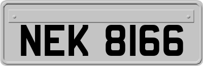 NEK8166