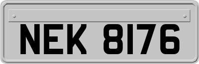 NEK8176