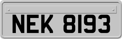 NEK8193