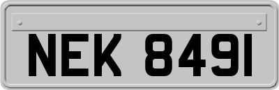 NEK8491