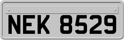 NEK8529