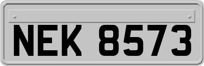 NEK8573