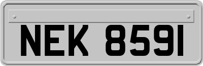 NEK8591