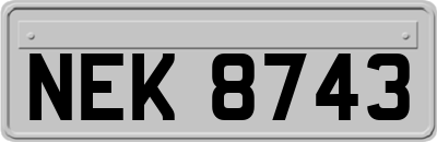 NEK8743