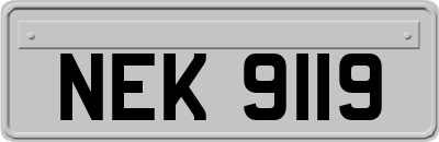 NEK9119