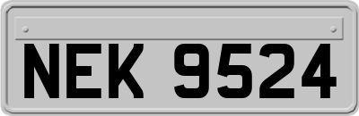 NEK9524