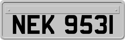 NEK9531