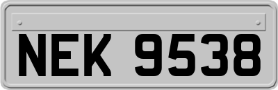 NEK9538