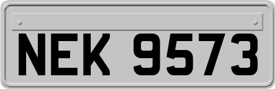 NEK9573