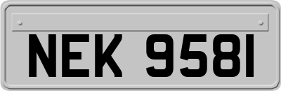 NEK9581